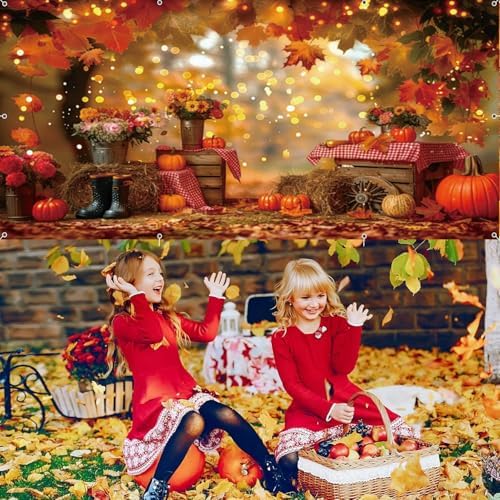 16X7ft Fall Garage Door Cover Decorations Autumn Maple Leaves Forest Sunflower Pumpkins Banner Hanging for Thanksgiving Holiday Party Background Sign House Decor - Image 5