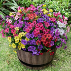 Lnoicy 20 Bundles Artificial Flowers for Outdoor Fake Plants for Spring Decoration,Faux Eucalyptus Flowers for Planter UV Resistant Lifelike for Home Porch Garden（7 Color） by Lnoicy