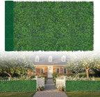 Artificial Boxwood Roll,64x168 in(74 sqft) UV-Anti Faux Ivy Grass Wall by EverNature