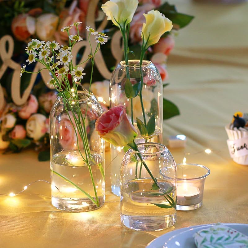 Etolies Glass Bud Vases in Bulk Set of 12, Clear Small Vases for Flowers,Modern Cylinder Glass Vase for Wedding Party Dining Table Centerpieces, Living Room Decorative, Home Decor. - Image 6
