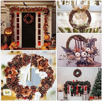 Natural Grapevine Wreath for Crafts - 14 Inch Round Rattan Twig Wreath Base - DIY Wreaths Making Supplies for Decor - 2 Pack - Image 7