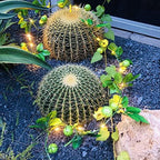 Artificial Watermelon Flower Vine with String Lights,Watermelons Garland Light Battery Powered for Indoor Bedroom Wedding Home Garden Decoration - Image 7