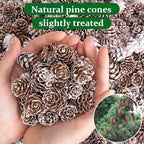 700 Pcs Christmas Natural Mini Pine Cones - Small Xmas Snow Pinecones Decor - Image 3