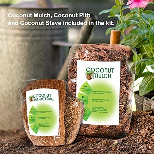 Handmade 100% Thai Bamboo 6 Inch Signature Super Sanctuary SIAM Orchid Hanging Basket with Nursery Grade Coconut Shell Staves Coir Pith Sponge & Husk Mulch - Image 6