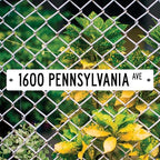 Custom Street Sign, Personalized Street Sign, Customizable Novelty Road White with Border Sign, 42x6 Inches, ACM, Fade Resistant, Made in USA by Sigo Signs - Image 4