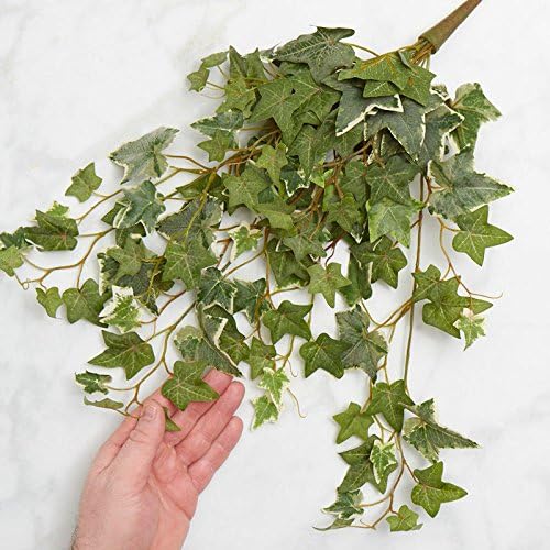 Factory Direct Craft Variegated Poly Silk Draping Ivy Bushes | 2 Greenery Bushes - Image 3