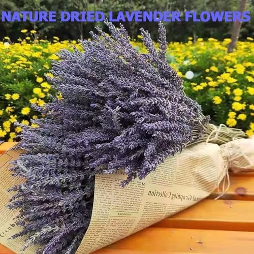 TOMOON 6 Packs Natural Dried Lavender Flowers Bouquet with Stems - Image 2