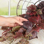 Autumn Grape Leaf Cascading Artificial Ivy Vine Bush – 39" Tuscany Vineyard - Image 6
