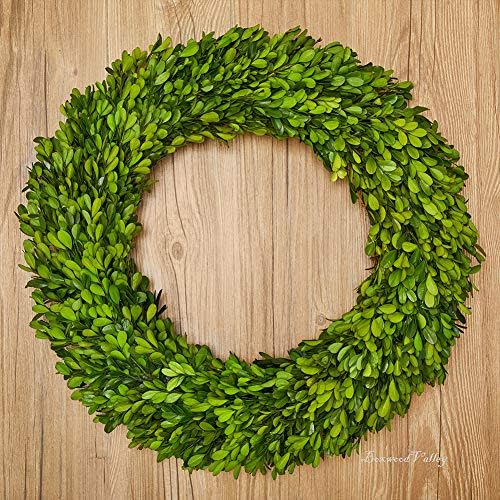 Boxwood Wreath X-Larger 22 inch Preserved Nature Boxwood Wreath Home Decor Stay Fresh for Years for Door Wall Window Party Décor Spring Summer Fresh Green Wreath - Image 4