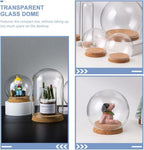5pcs Clear Glass Cloche Globe Display Dome with Wooden Base Decorative Glass Cloche Bell Jar Display Case for Collectibles Enchanted Rose Small Beer Specimens Snow Globes Crafts 10cm - Image 4