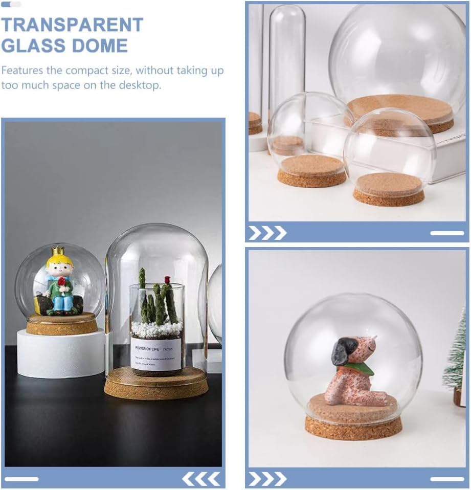 5pcs Clear Glass Cloche Globe Display Dome with Wooden Base Decorative Glass Cloche Bell Jar Display Case for Collectibles Enchanted Rose Small Beer Specimens Snow Globes Crafts 10cm - Image 4