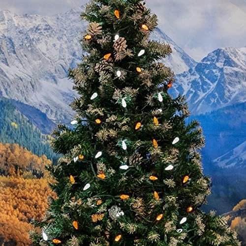 Novelty Lights 24FT 70 LED C6 Christmas String Lights, Orange & Pure White - Image 4