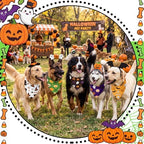 Abbylike 50 Pcs Halloween Dog Bandanas Bulk Cute Dog Paw Prints Pattern - Image 2
