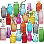 Dandat 24 Pieces Small Colored Vase Bulk 12 Style Decorative Bud Vase by Dandat