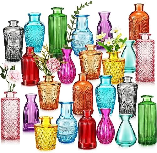 Dandat 24 Pieces Small Colored Vase Bulk 12 Style Decorative Bud Vase by Dandat