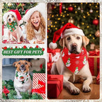 Abbylike 50 Pcs Christmas Dog Bandanas Bulk, Snowman Santa Snowflake - Image 4