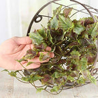 Factory Direct Craft Grape Leaf Cascading Artificial Ivy Vine Bush Greenery - Indoor/Outdoor Tuscany Vineyard Winery Grape Leaves Plant for Home Porch or Patio Decor (17" L) - Image 3