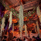 29 Pcs Halloween Haunted Swamp Decorations, Creepy Hanging Moss Garland - Image 6