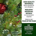 Fraser Hill Farm Prelit 3-Piece Hanging Holly Berry 20" Wreath on Red Ribbon, Warm White LED Lights - Image 2
