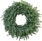 24 Inch Christmas Wreath – Artificial Norfolk Pine & Cedar Greenery, Full Holiday Wreath for Front Door, Wall, Window, Porch, Indoor & Outdoor Christmas Decor (1, 24") by QIANYUN