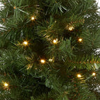 National Tree Company 24in Pre-Lit Majestic Fir Mini Christmas Tree - Image 2