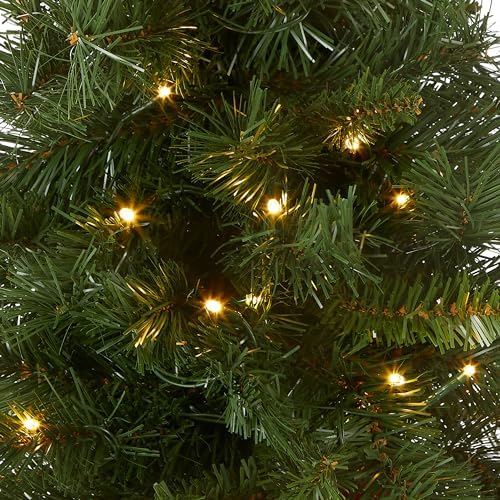 National Tree Company 24in Pre-Lit Majestic Fir Mini Christmas Tree - Image 2
