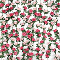 BLEUM CADE 12Pcs 16.4Ft Fake Flower Garland Artificial Rose Vines by BLEUMCADE
