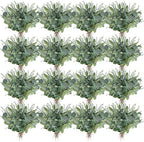 Tigeen 150 Pcs Artificial Eucalyptus Stems, 2 Styles Faux Greenery Leaves with Silver Dollar and Small Leaf Sprays for Wedding Bouquet DIY Floral Arrangements, Centerpieces, Home Decor (Green) by Tigeen