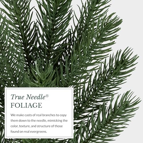 Balsam Hill Vermont White Spruce Christmas Wreath - 26" Majestic East Coast Front Door Wreath with True Needle Foliage & Battery-Operated LED Clear Lights - Image 4