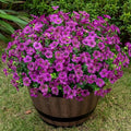 20 Bundles Artificial Flowers for Outdoor, Fake Plants Spring Decor,Fuchsia by Lnoicy