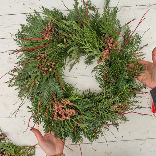 18 Inch Christmas Green Wire Wreath Frame,10 Pack Metal Front Door Wreath Round Form Iron Ring for Christmas, New Year Decors, Crafts, DIY, Holidays, Events - Image 5
