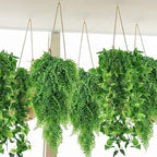 Hoteam 12 Pcs Artificial Hanging Greenery Plants, Pothos, Persian Grass - Image 4