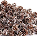 700 Pcs Christmas Natural Mini Pine Cones - Small Xmas Snow Pinecones Decor by Unknown