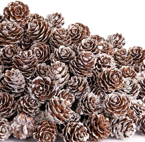 700 Pcs Christmas Natural Mini Pine Cones - Small Xmas Snow Pinecones Decor by Unknown