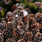 700 Pcs Christmas Natural Mini Pine Cones - Small Xmas Snow Pinecones Decor - Image 5
