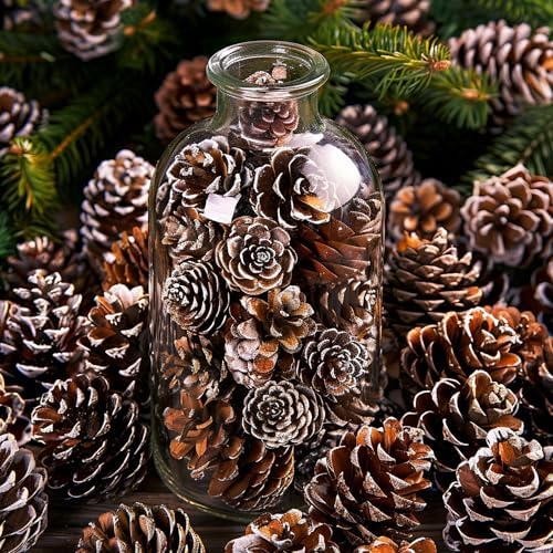 700 Pcs Christmas Natural Mini Pine Cones - Small Xmas Snow Pinecones Decor - Image 5