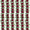 6Pcs 39Ft Artificial Eucalyptus Garlands with Flowers Roses by DolicerLANDSCAPEQ