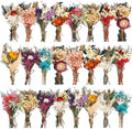 Layhit 24 Pcs Mini Dried Flower Bouquets Boho for Vase, Colorful by ShungLan