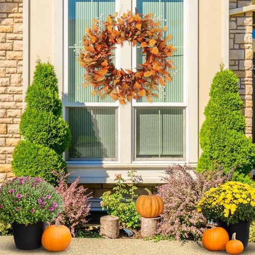 Sggvecsy Artificial Fall Wreath 21’’ Autumn Front Door Wreath with Fall Leaves Small Pumpkins Cluster of Berries for Outside Indoor Wall Window Festival Thanksgiving Fall Harvest Autumn Decor - Image 5