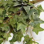 Factory Direct Craft Variegated Poly Silk Draping Ivy Bushes | 2 Greenery Bushes - Image 2