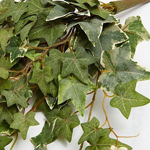 Factory Direct Craft Variegated Poly Silk Draping Ivy Bushes | 2 Greenery Bushes - Image 2