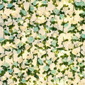 BLEUM CADE 12Pcs 16.4Ft Fake Flower Garland Faux Rose Vines with Lights by BLEUMCADE