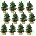 Yinder Tabletop 12 Pcs Mini Christmas Tree 7.87 Inch Artificial Mini Xmas Miniature Pine Christmas Tree with Linen Base for Xmas Holiday Decorations Indoor Home Kitchen Dining Table by Yinder