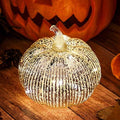 Silver Mercury Glass Pumpkin Light with 2 Lighting Modes and 6-Hour Timer, 5.5 x 6 Inch Battery Operated Fall Decor for Thanksgiving and Christmas Table Centerpiece by HvFun