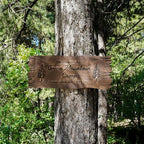 Rustic Personalized Outdoor Wood Sign for Cabin, Glamping or Campsite – Custom Engraved Beech Wood Name Plaque with Live Edge – Weatherproof Tree, Home Entrance, or Wall Hanging Wooden Welcome Sign - Image 3