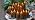 24 Pack LED Gray Flameless Candles with Remote, 3D Flickering Battery Operated Candles in Glass Holders, Safe for Weddings, Parties, Home and Outdoor Decor. - Image 7