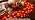 Fall Decor Fall Decorations for Home 9FT Plug in Fall Garland with Lights 50 Orange Bulbs Connectable Lighted Fall Garland Light for Indoor Outdoor Halloween Thanksgiving Harvest Decorations(2 Packs) - Image 7